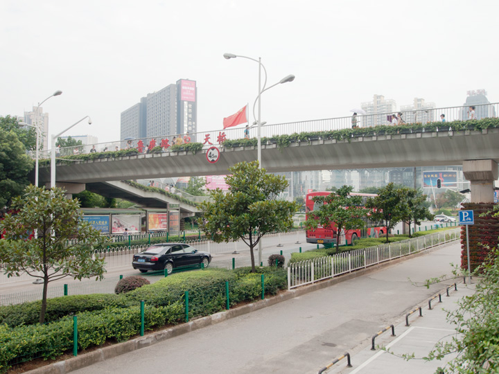 NormalGallery_AustralianStatues_Stalls_Wuhan_01